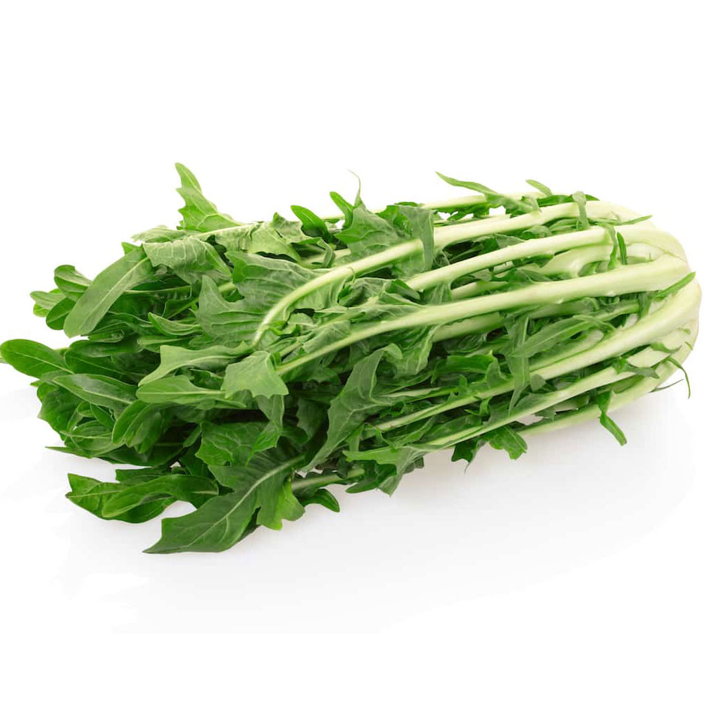 Ραδίκι Μακεδονίας 