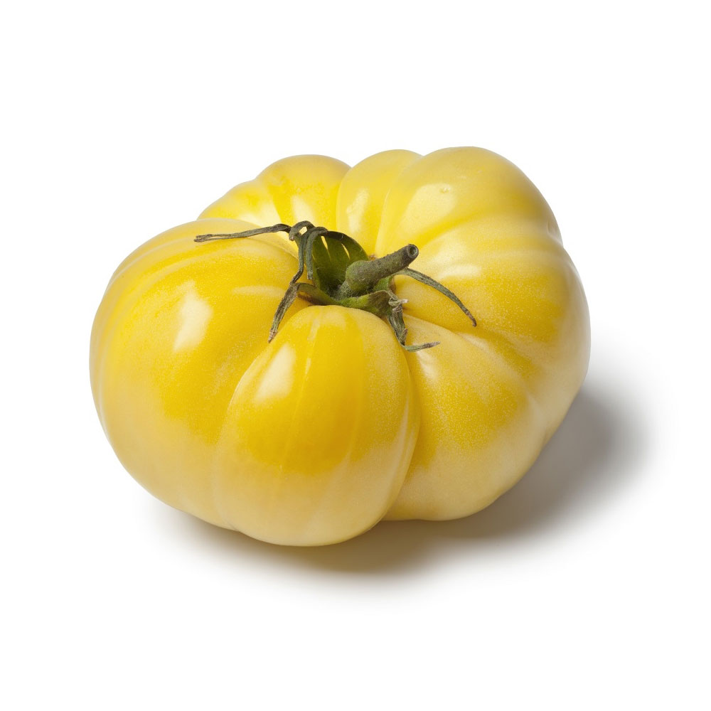 Τομάτα Αναρριχώμενη White Beauty