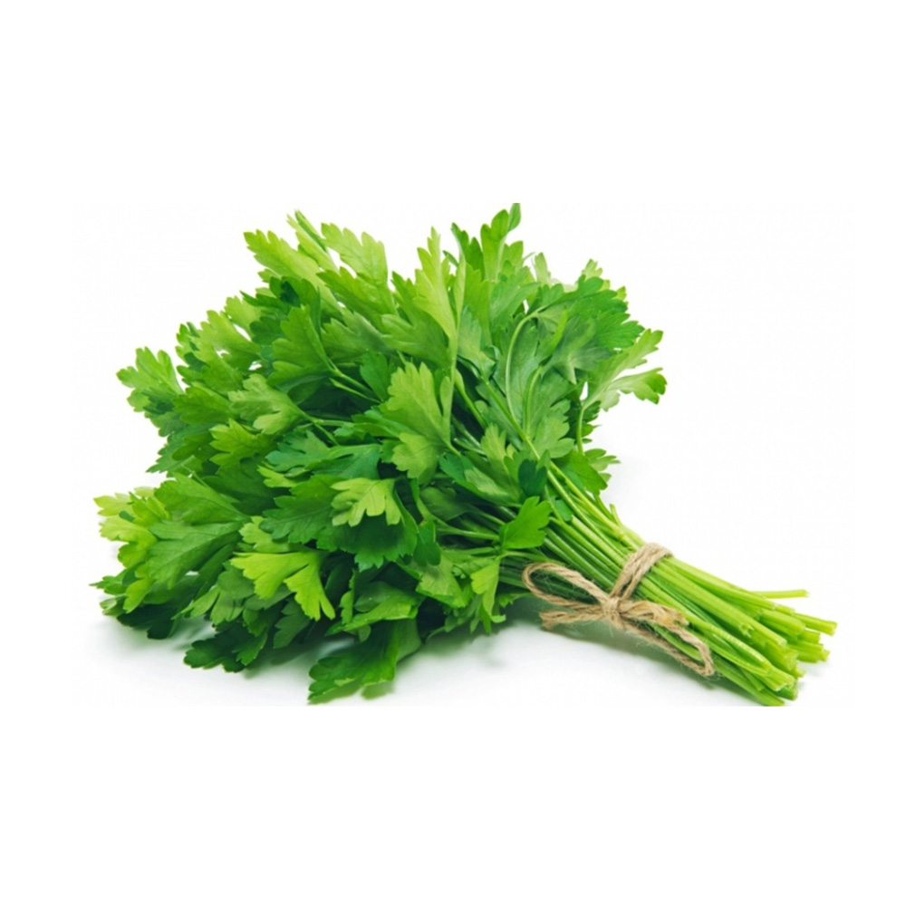 Μαϊντανός Ντόπιος 