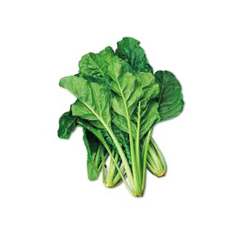 Σέσκουλο Πράσινο 