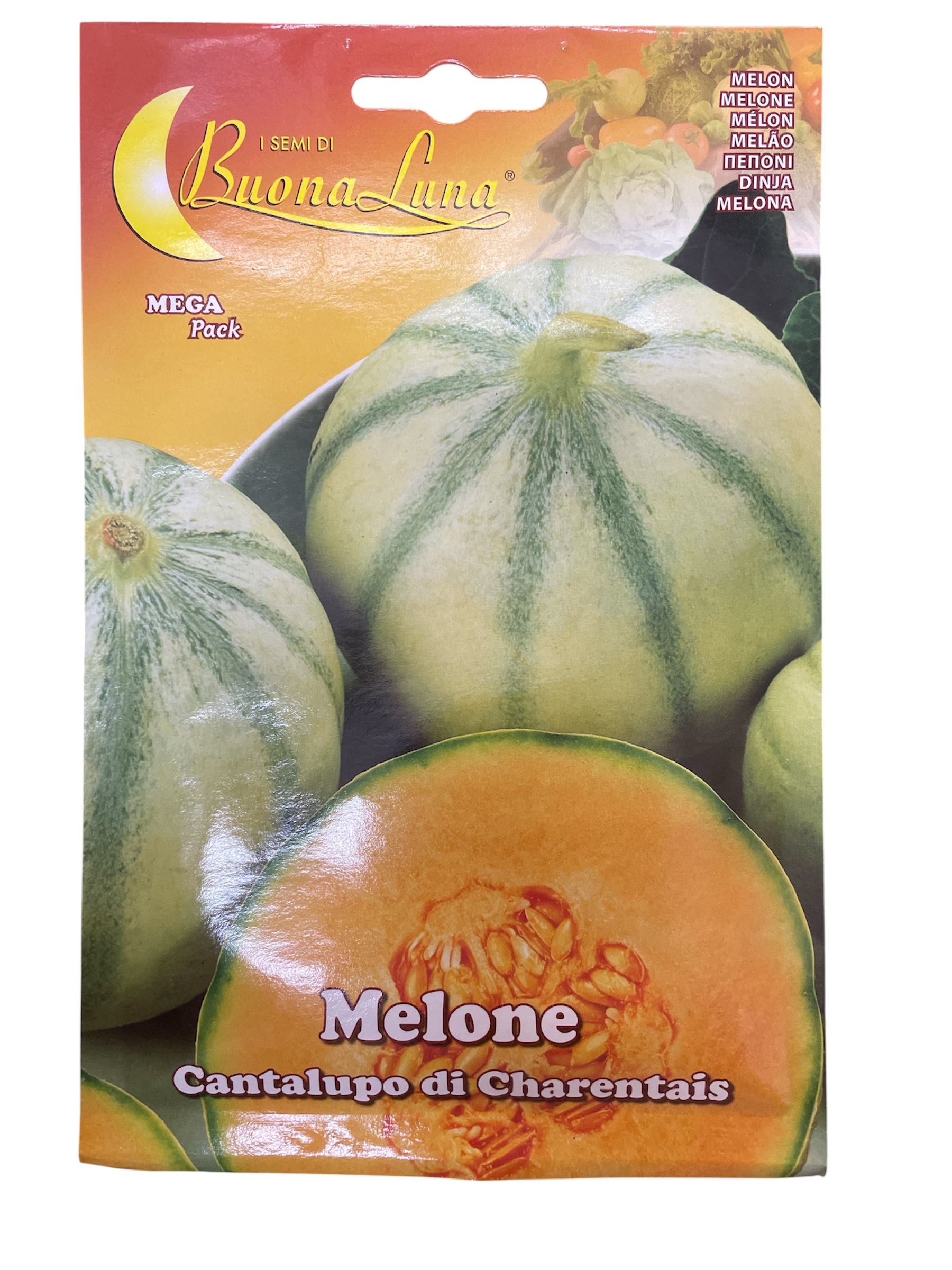Πεπόνι Melone