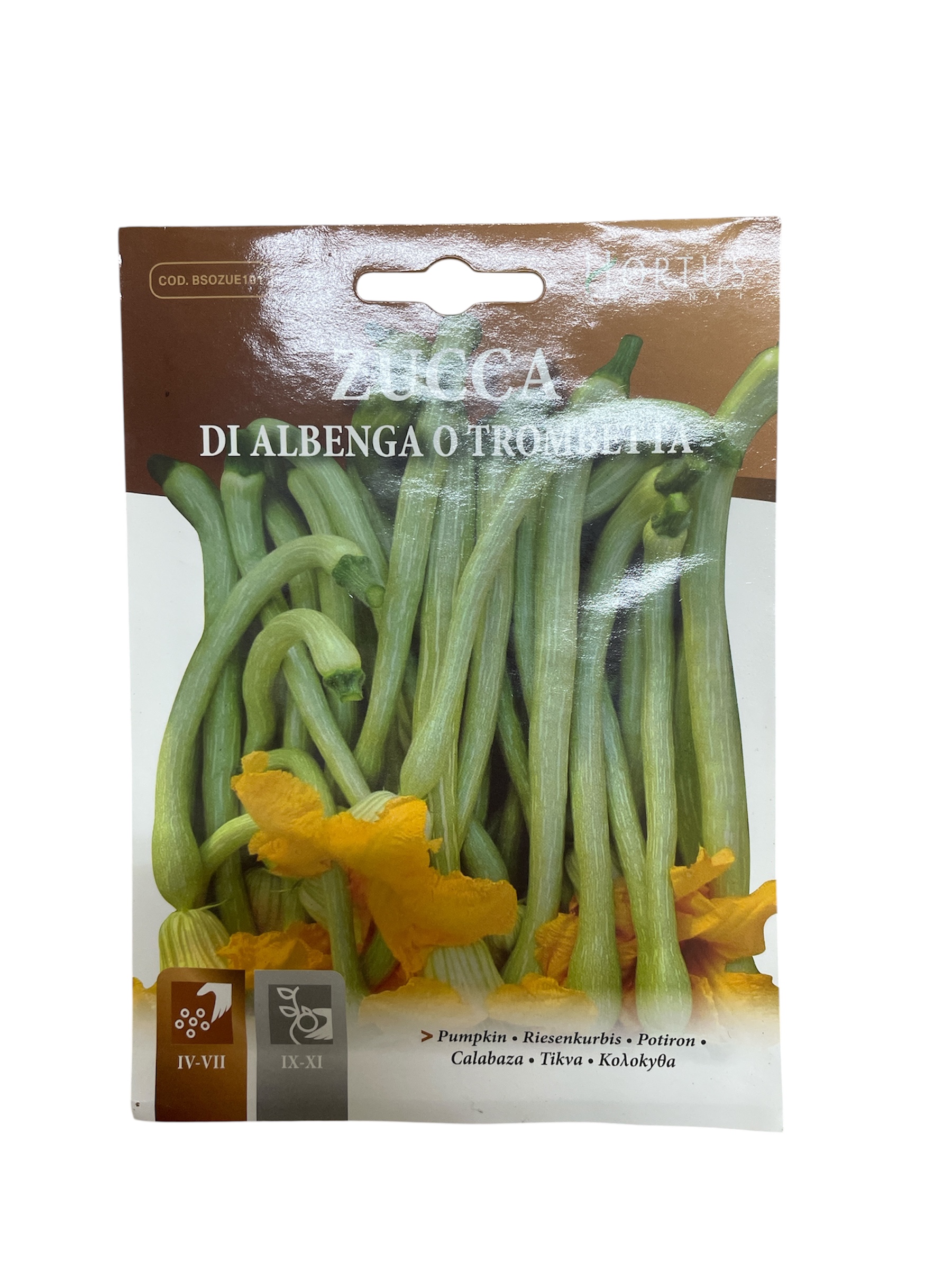 Κολοκύθα Zucca 