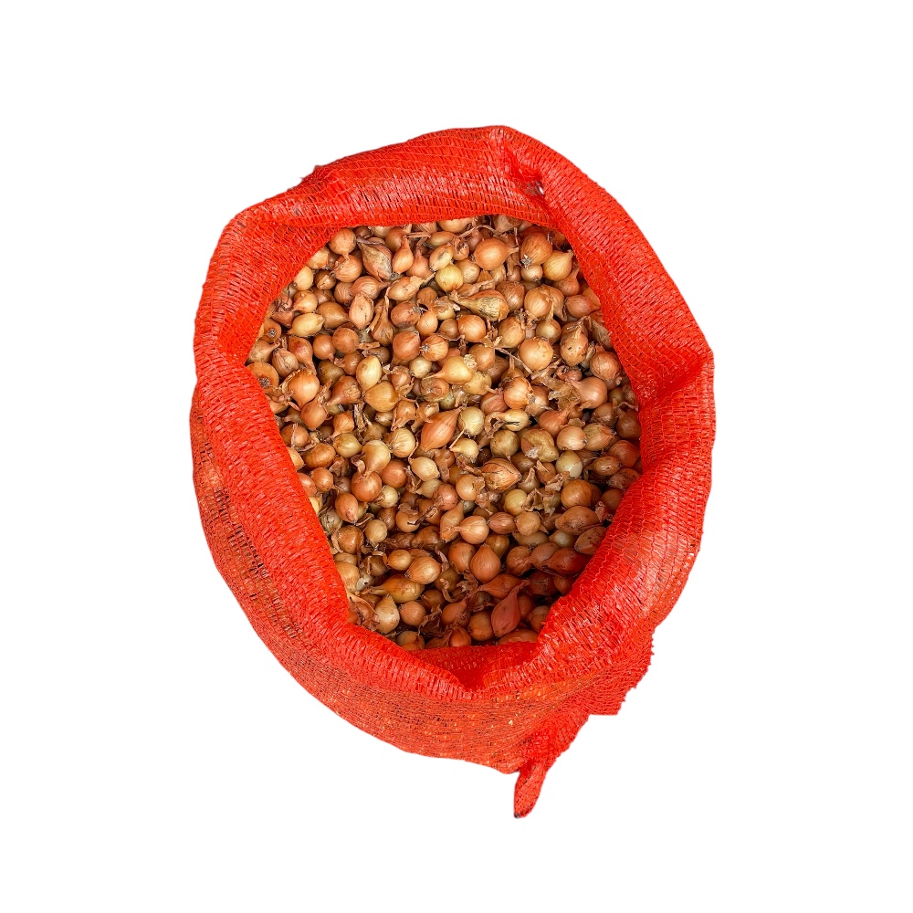 Κοκκάρι Ολλανδίας Stuttgarder 14-21