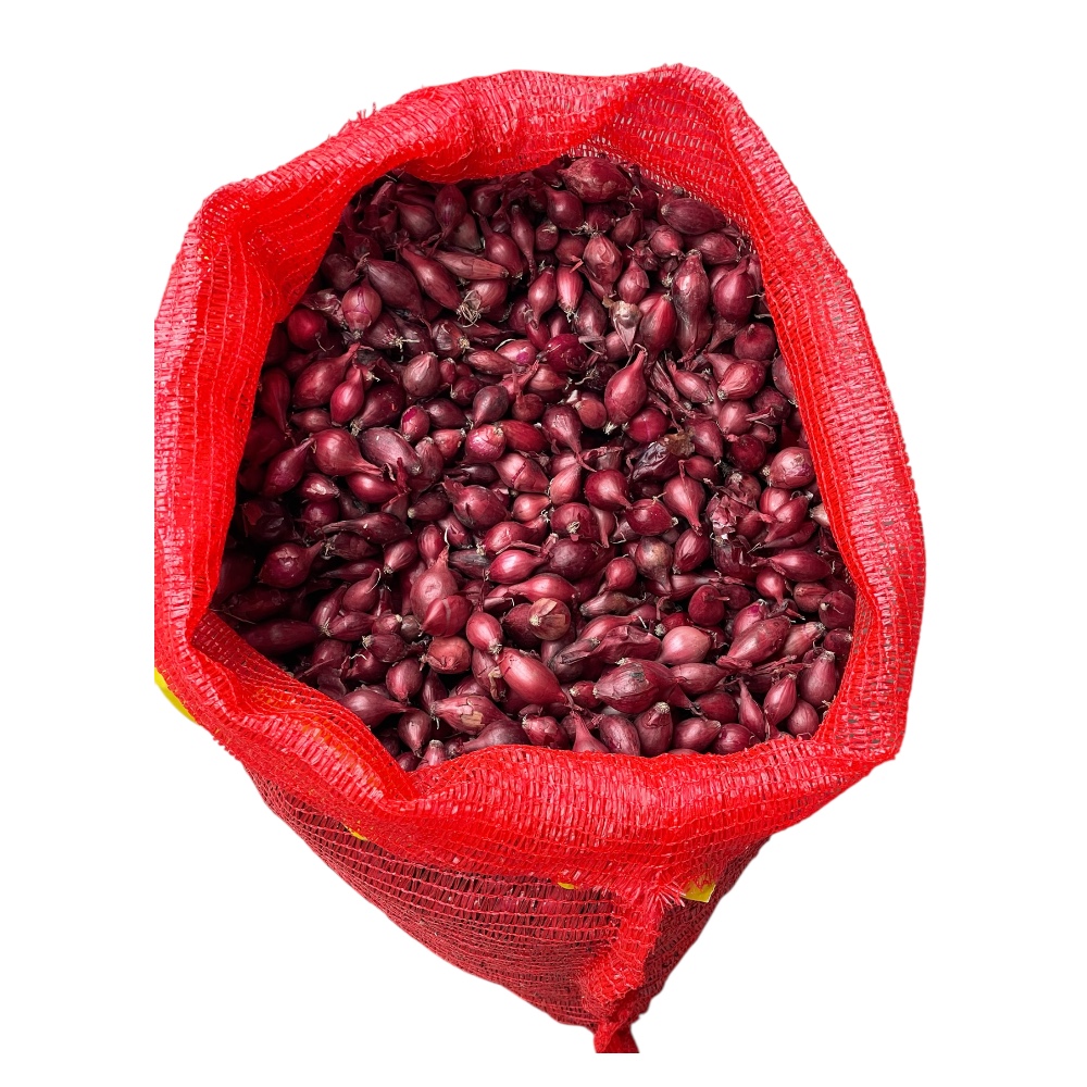 Κοκκάρι Κόκκινο Red Baron 14-21