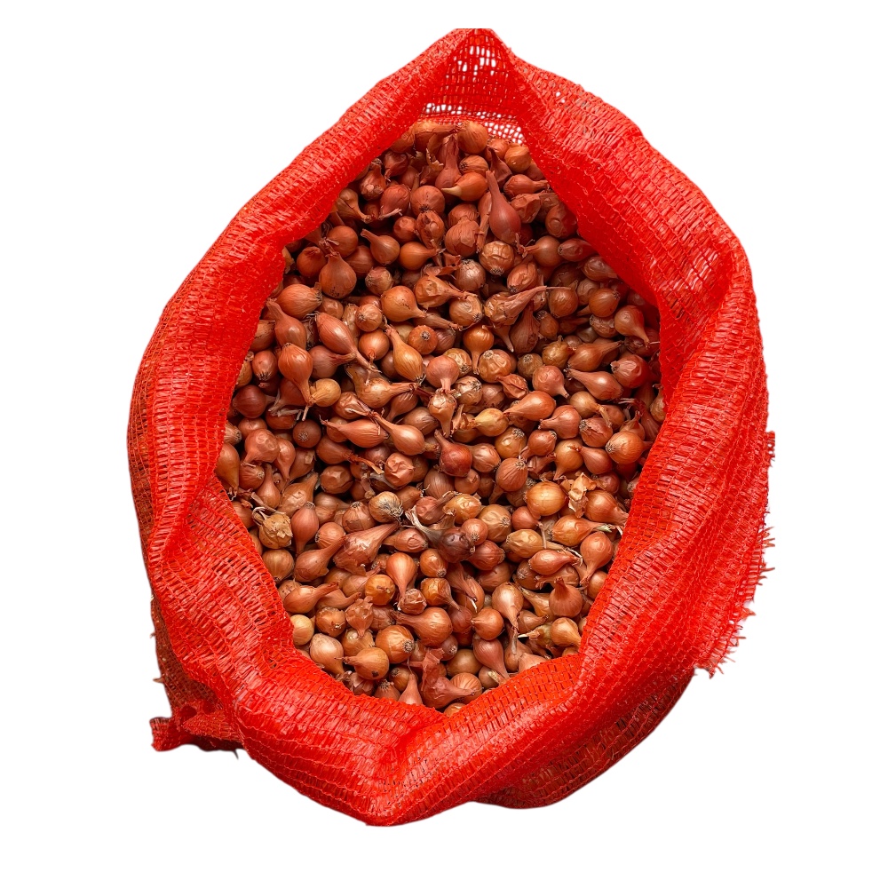 Κοκκάρι Αριδαίας 14-21