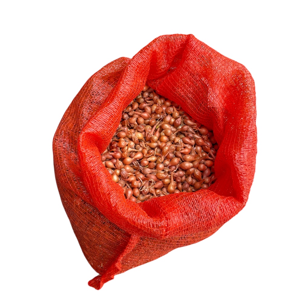 Κοκκάρι Ψιλό Αριδαίας 8-14