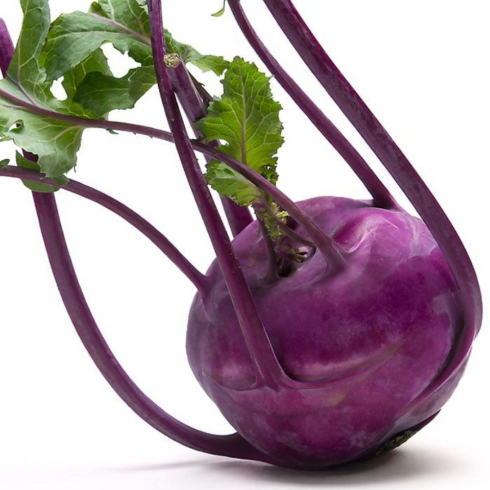 Γογγύλι Μώβ