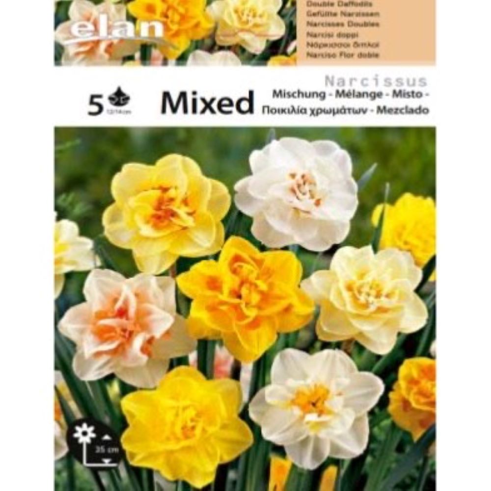 Νάρκισσος Διπλός Μίγμα 