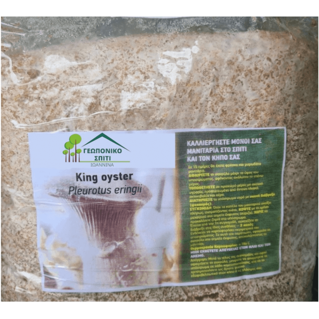 Μανιτάρια King Oyster (Pleurotus Eringii)
