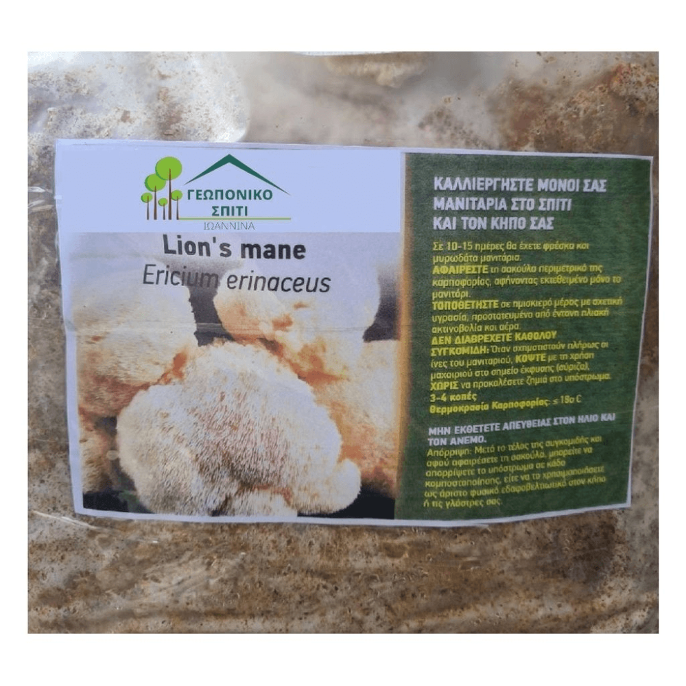 Μανιτάρια Αρνάκι ή Χαίτη τού Λιονταριού (Lion's Mane)