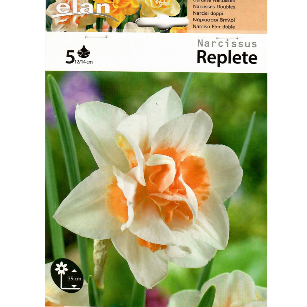 Νάρκισσος Replete 
