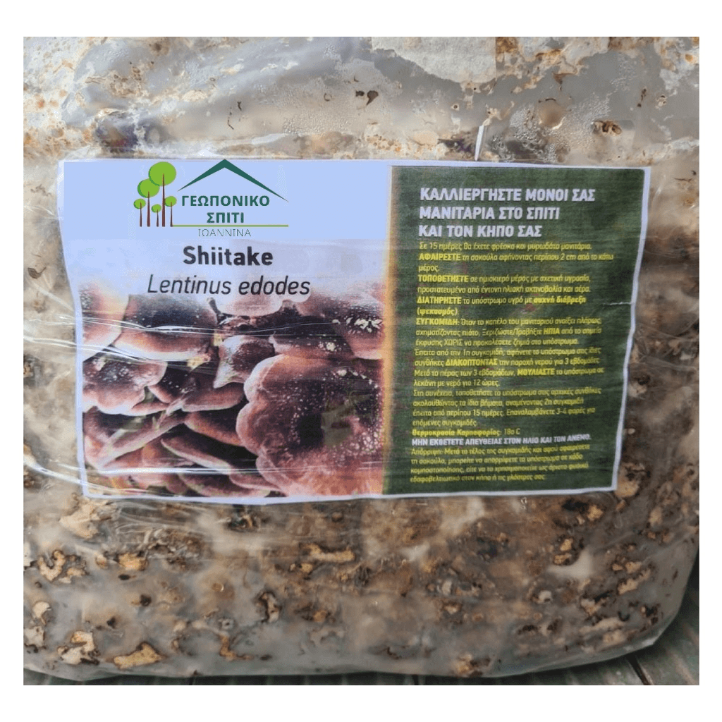 Μανιτάρια Shiitake (Lentinus Edodes)