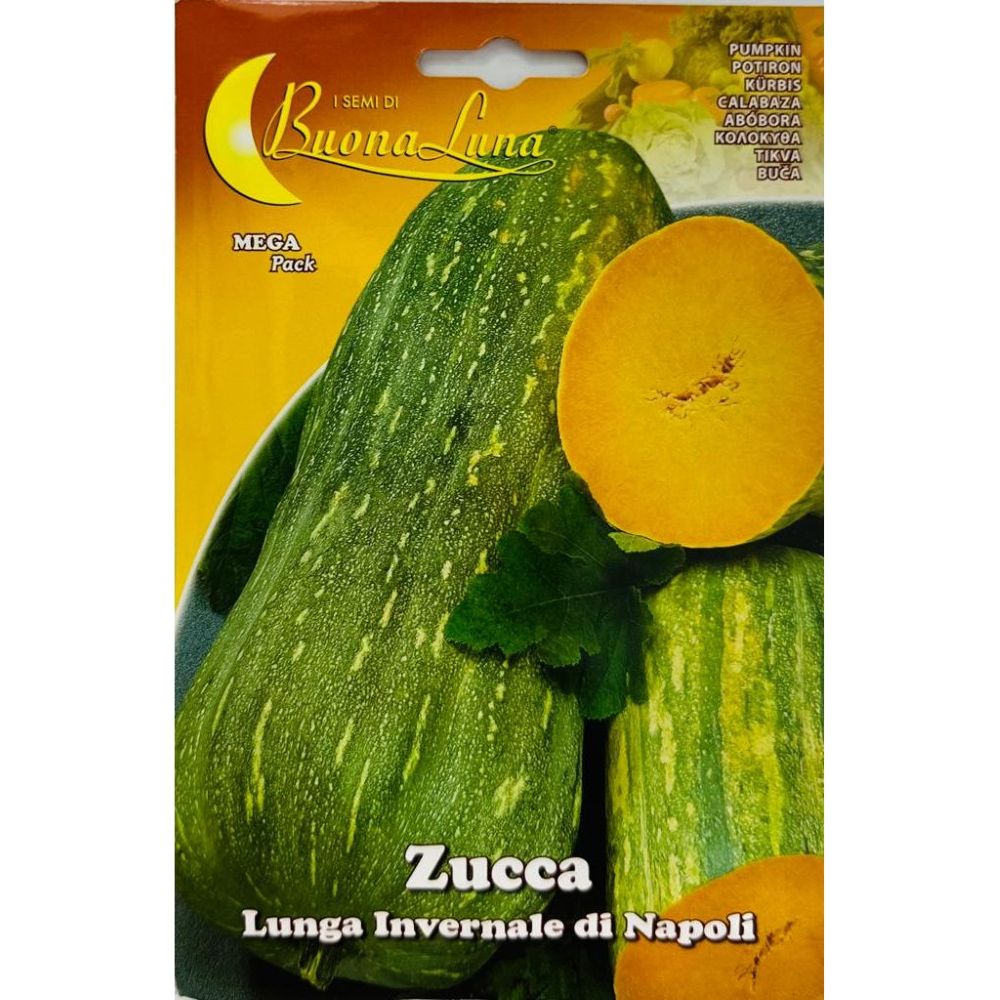 Κολοκύθα Di Napoli