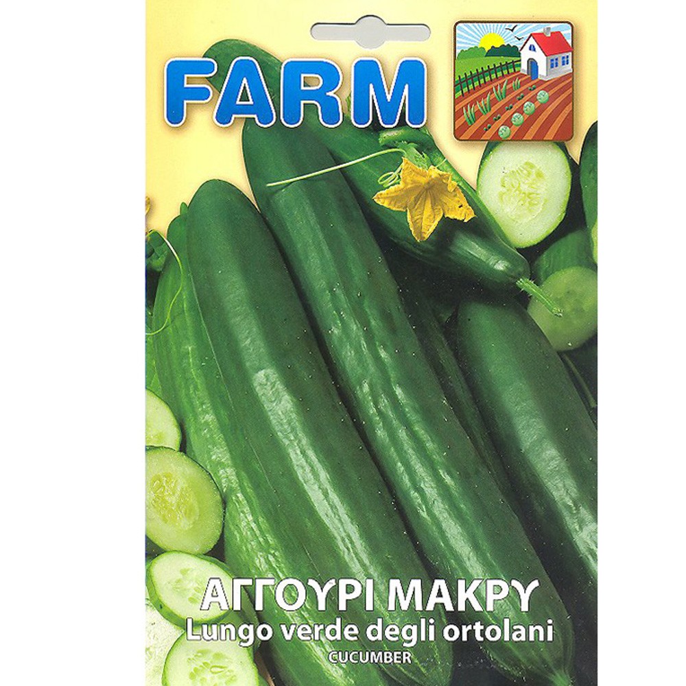 Αγγούρι Μακρύ