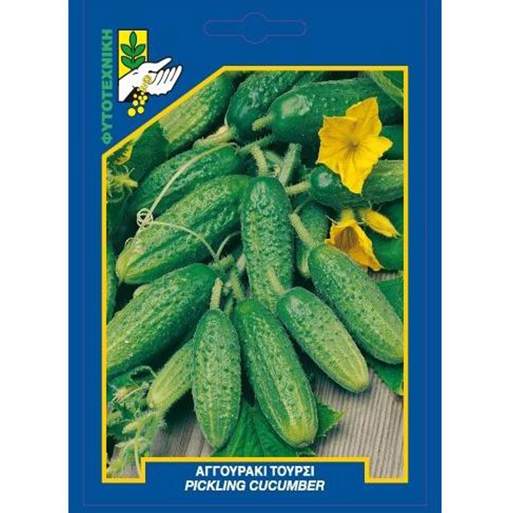 Αγγούρι Τουρσί