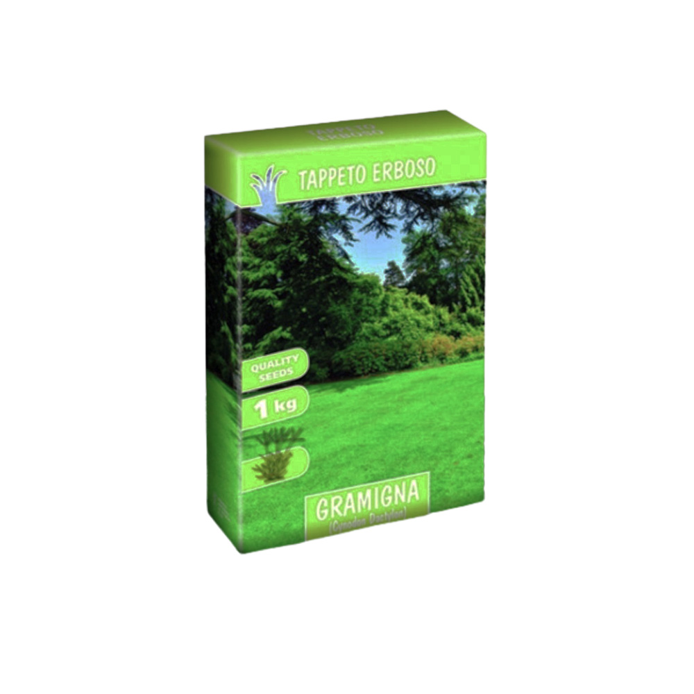 Αγριάδα Gramigna Cynodon Dactylon 