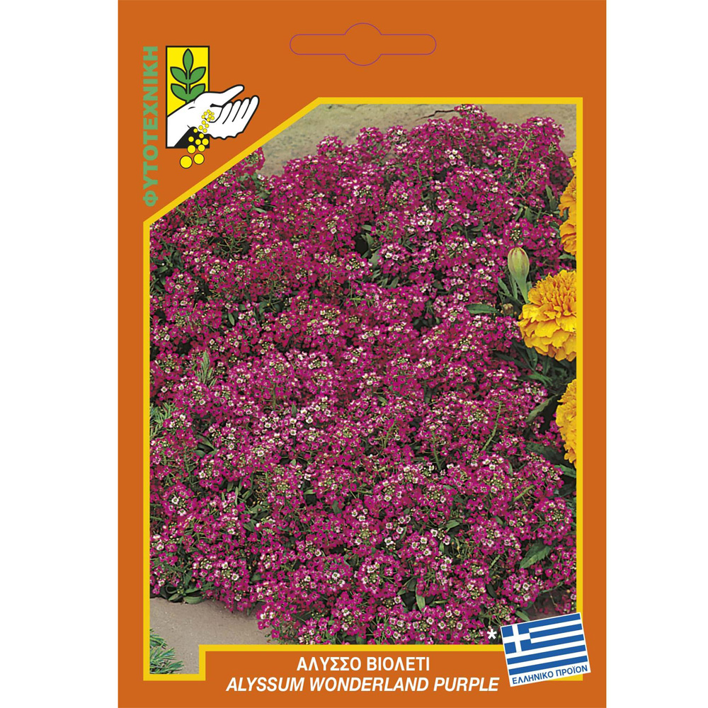 Άλυσσο Βιολετί