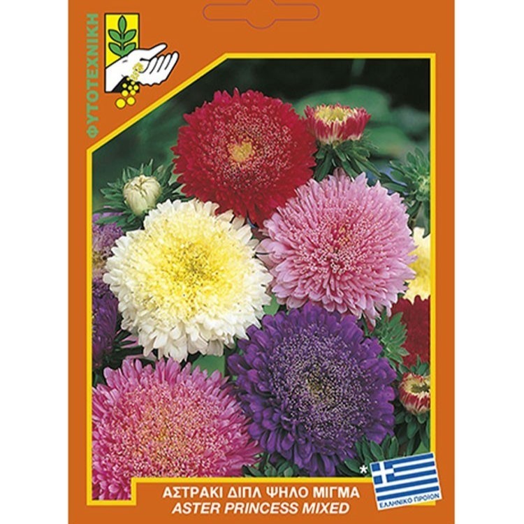 Aster Double Tall Mix