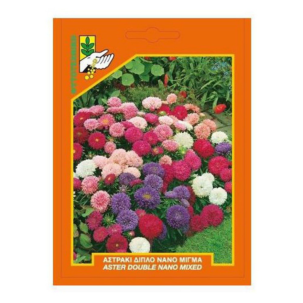 Αστράκι Διπλό Κοντό Μίγμα