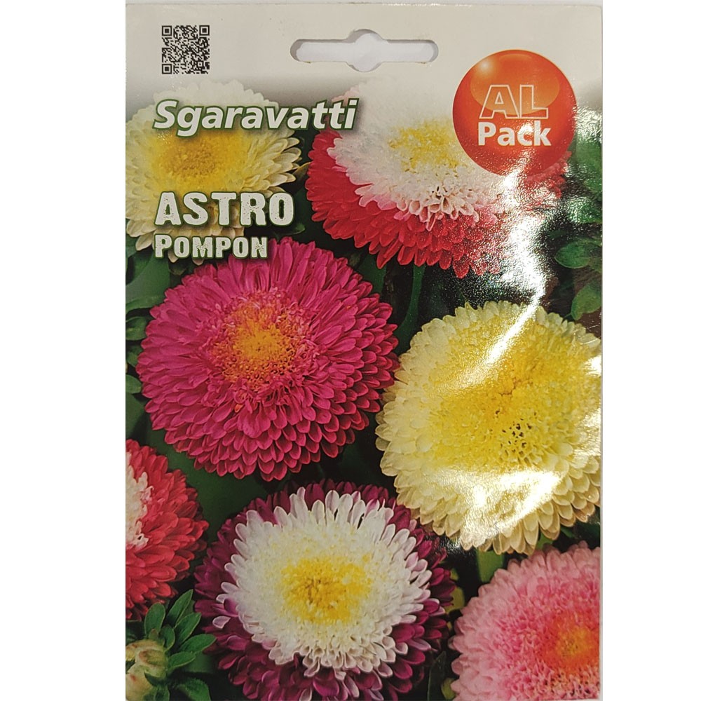 Αστράκι Pompon