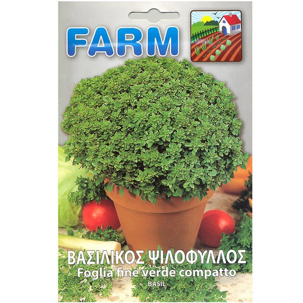 Βασιλικός Σγουρός Ψιλόφυλλος