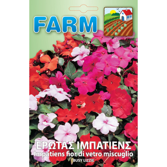 Έρωτας Ιμπάτιενς Μίγμα