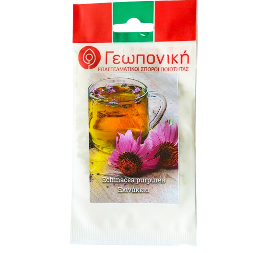 Echinacea Purpurea