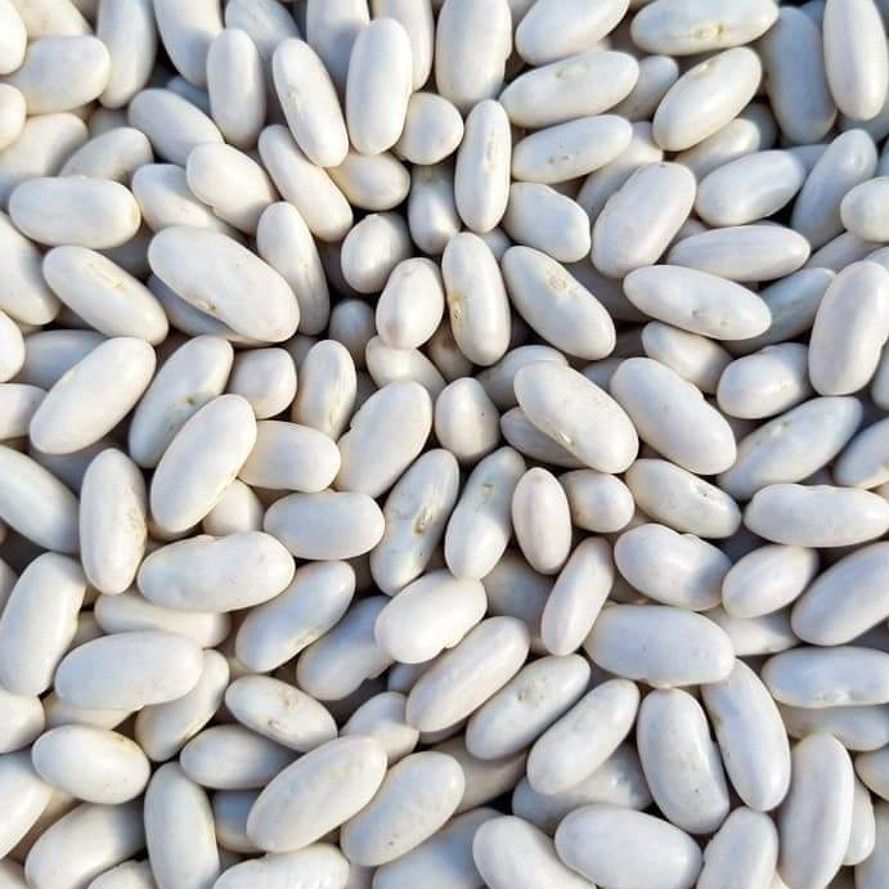 Φασόλι Canellino (για φασολάδα)