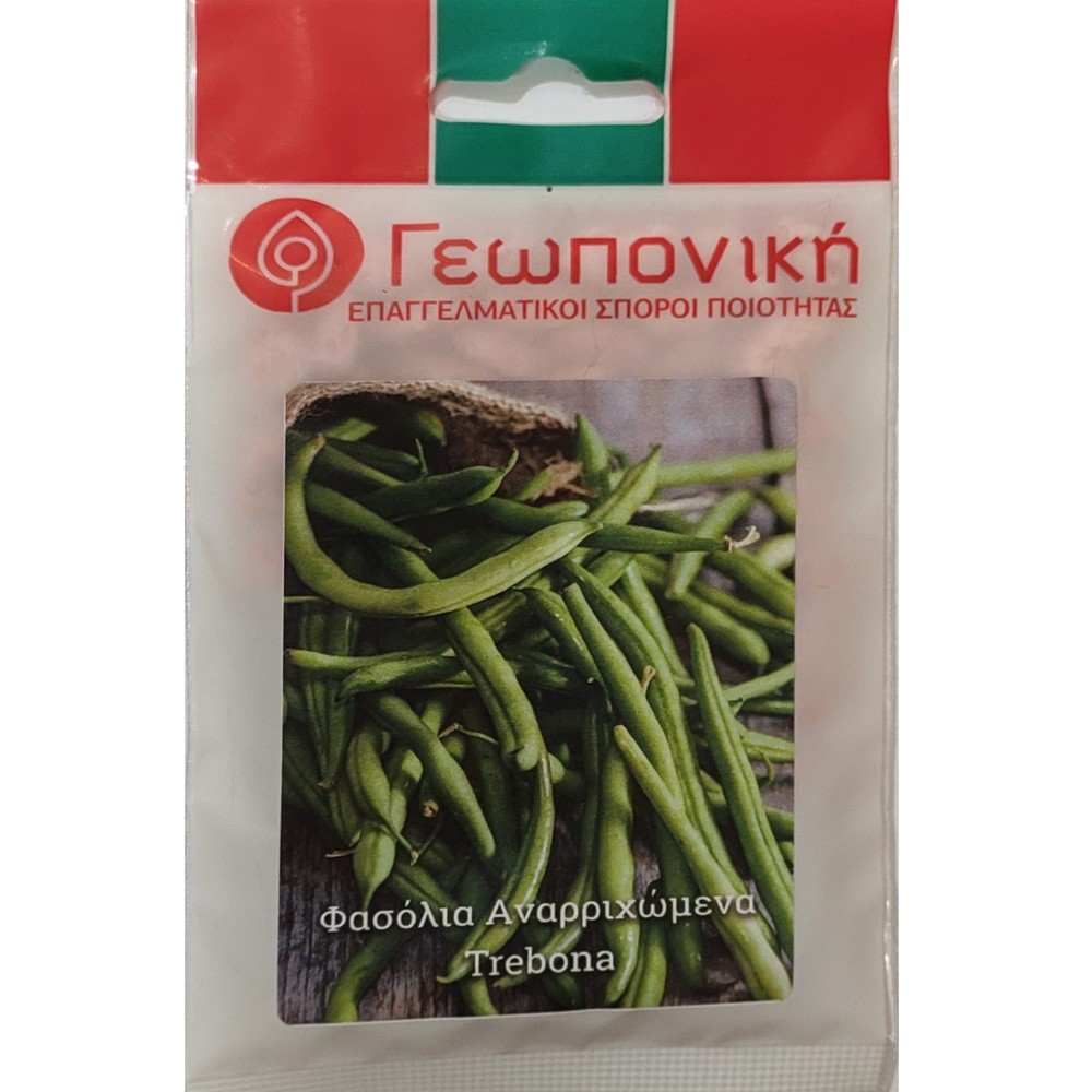 Φασόλια Αναρριχώμενα Trebona