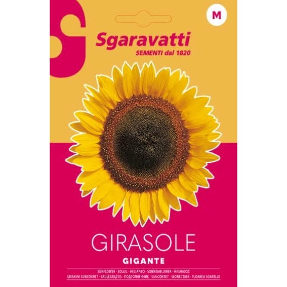 Ηλίανθος Γίγας