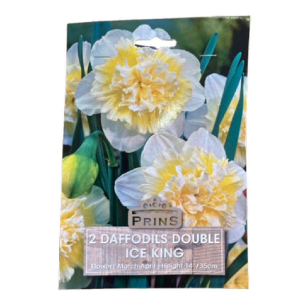 Νάρκισσος Double Ice King
