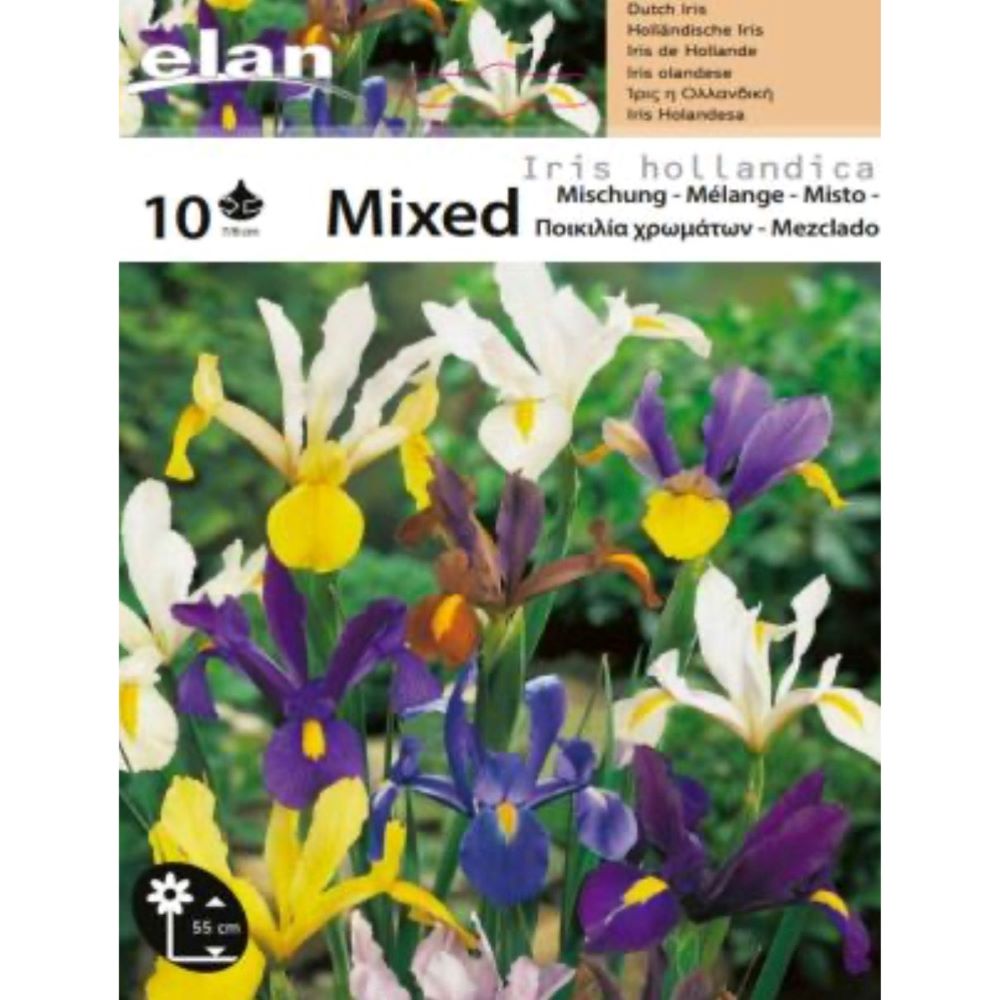 Ίριδα Μίγμα