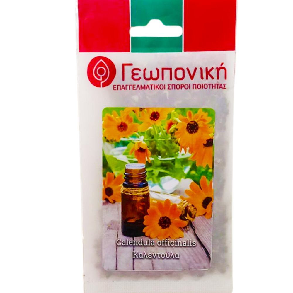 Calendula Officinalis