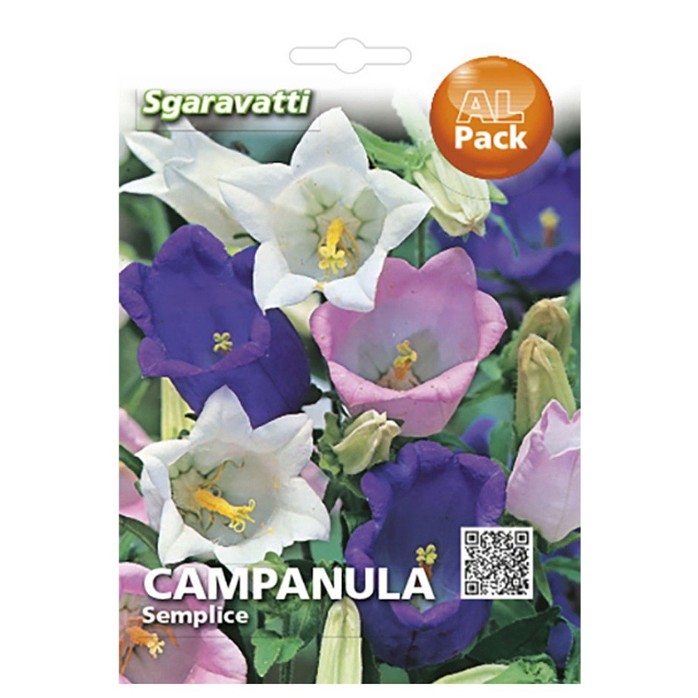 Καμπανούλα