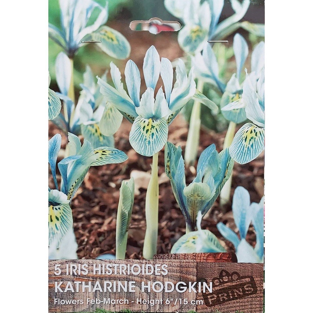 Ίριδα Katharine Hodgkin