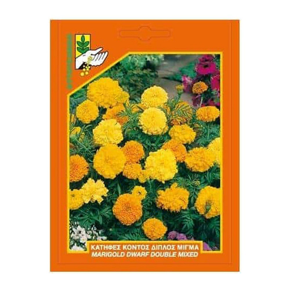 Κατηφές Κοντός Διπλός Μίγμα