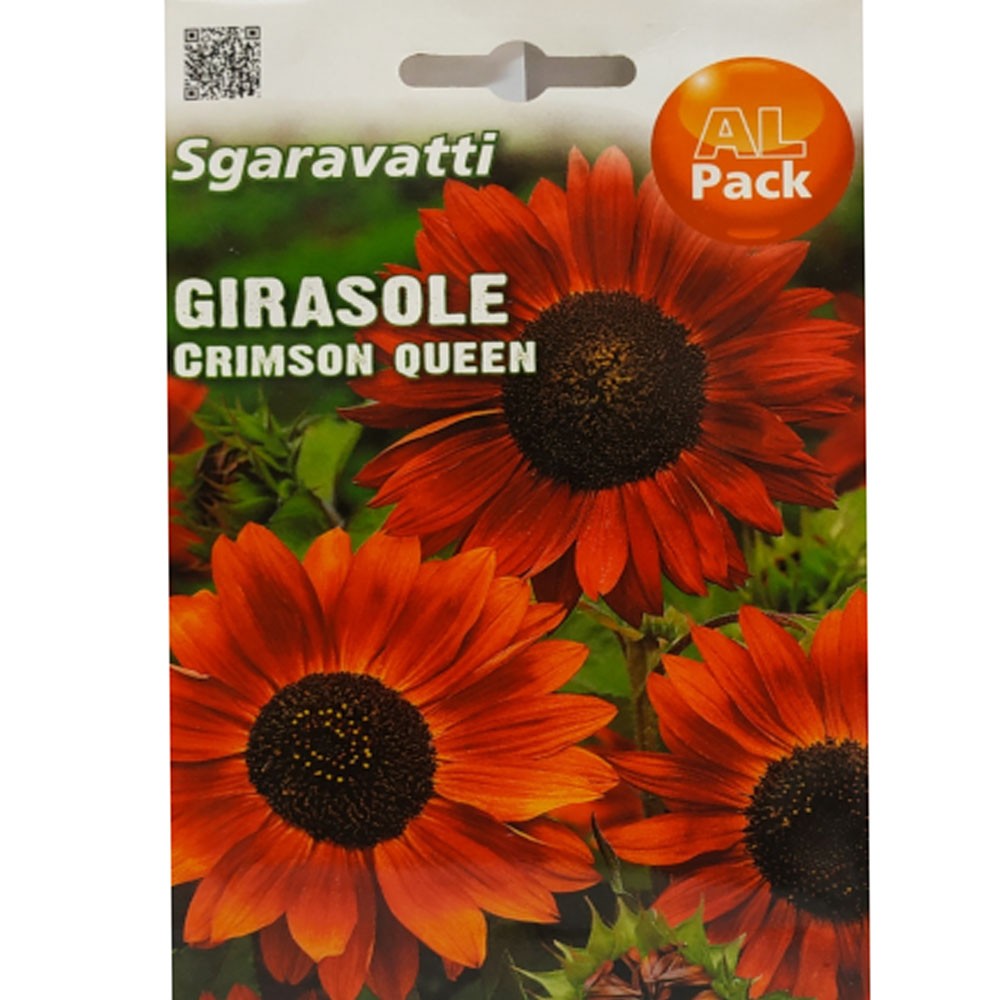 Ηλίανθος Κόκκινος Crimson Queen