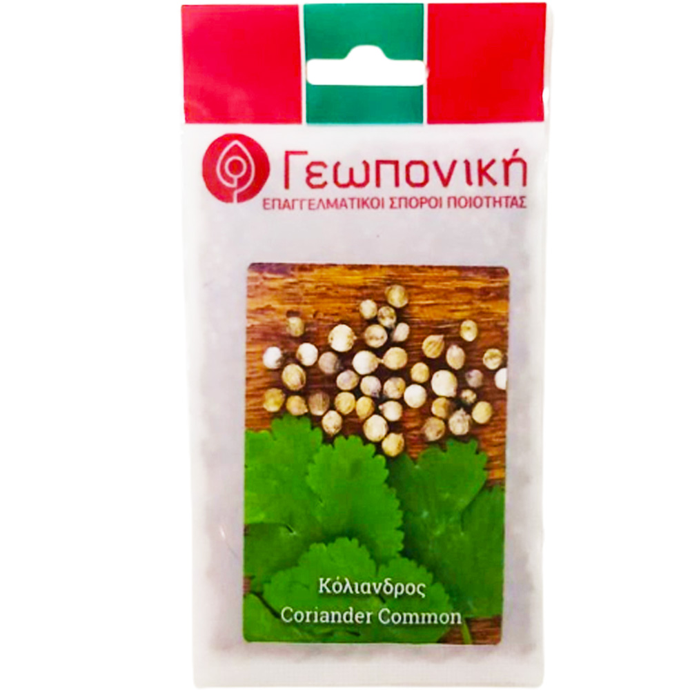 Coriander Common