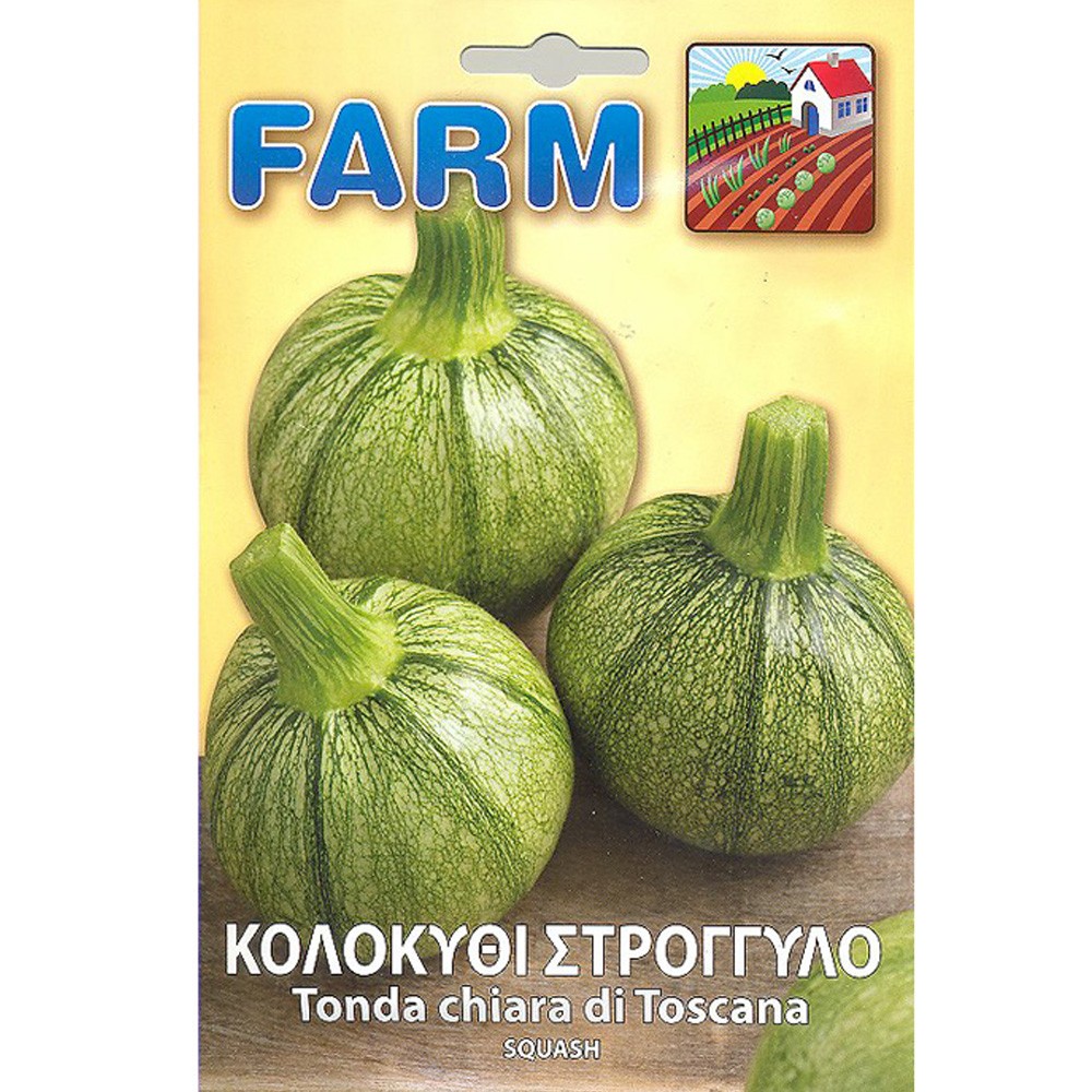 Κολοκύθι Στρογγυλό