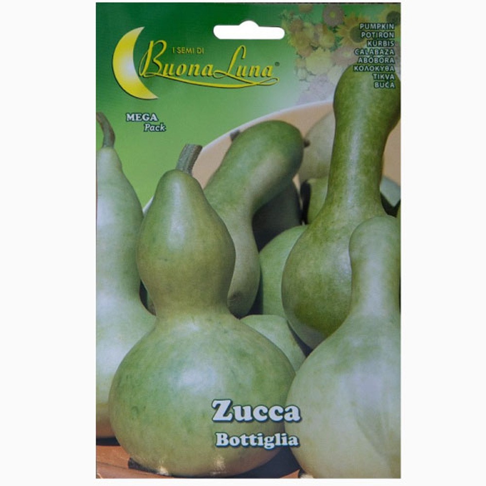 Κολοκύθα Φλασκί Νεροκολοκύθα