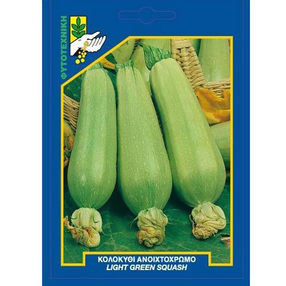 Κολοκυθάκι Λευκό 