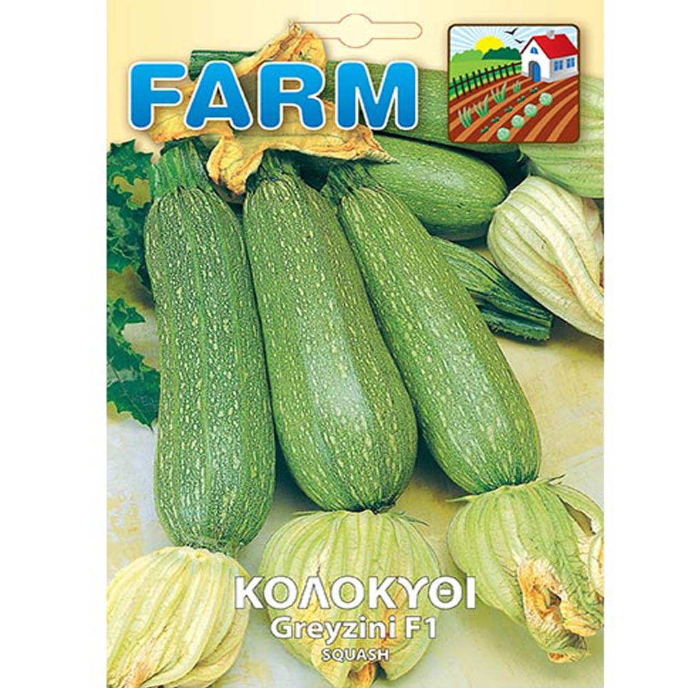 Κολοκύθι Ριγωτό 