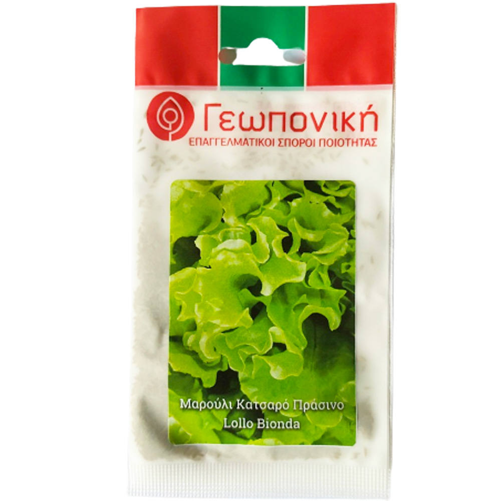 Μαρούλι Κατσαρό Πράσινο