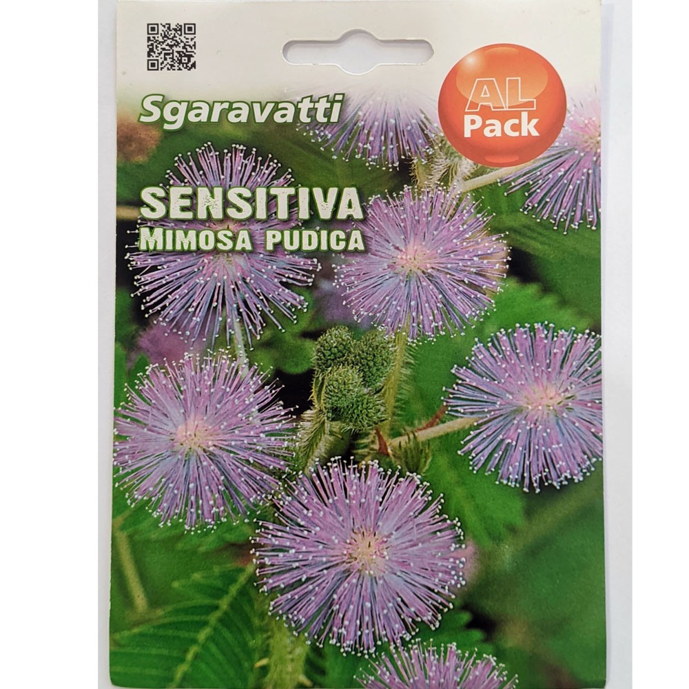 Μιμόζα Μη μου άπτου 