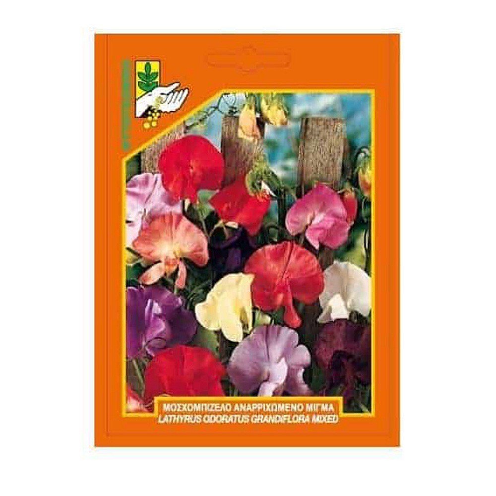 Μοσχομπίζελο Αναρριχώμενο Μίγμα