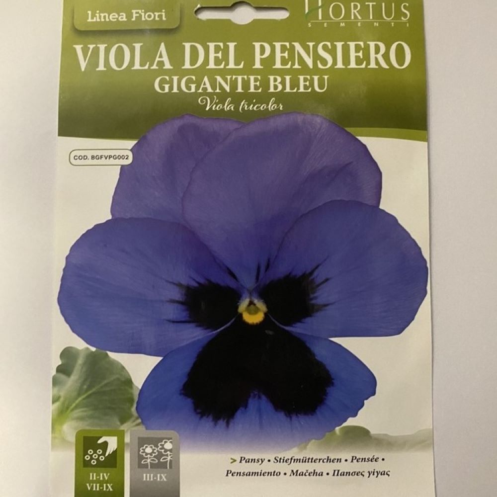Pansy Blue