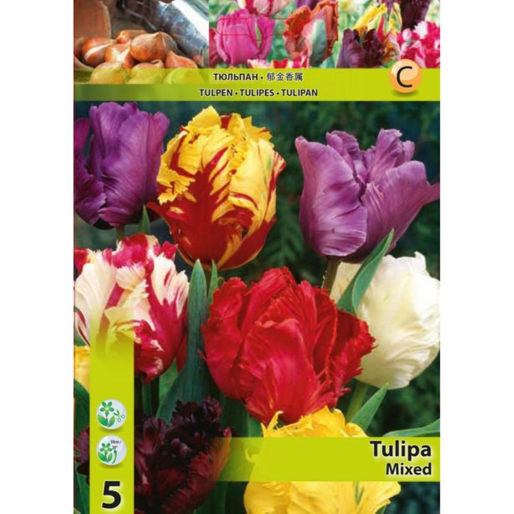 Τουλίπες Parrot Mix