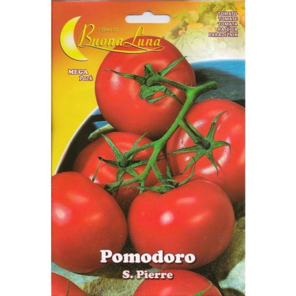 Τομάτα Αναρριχώμενη Αγίου Πέτρου