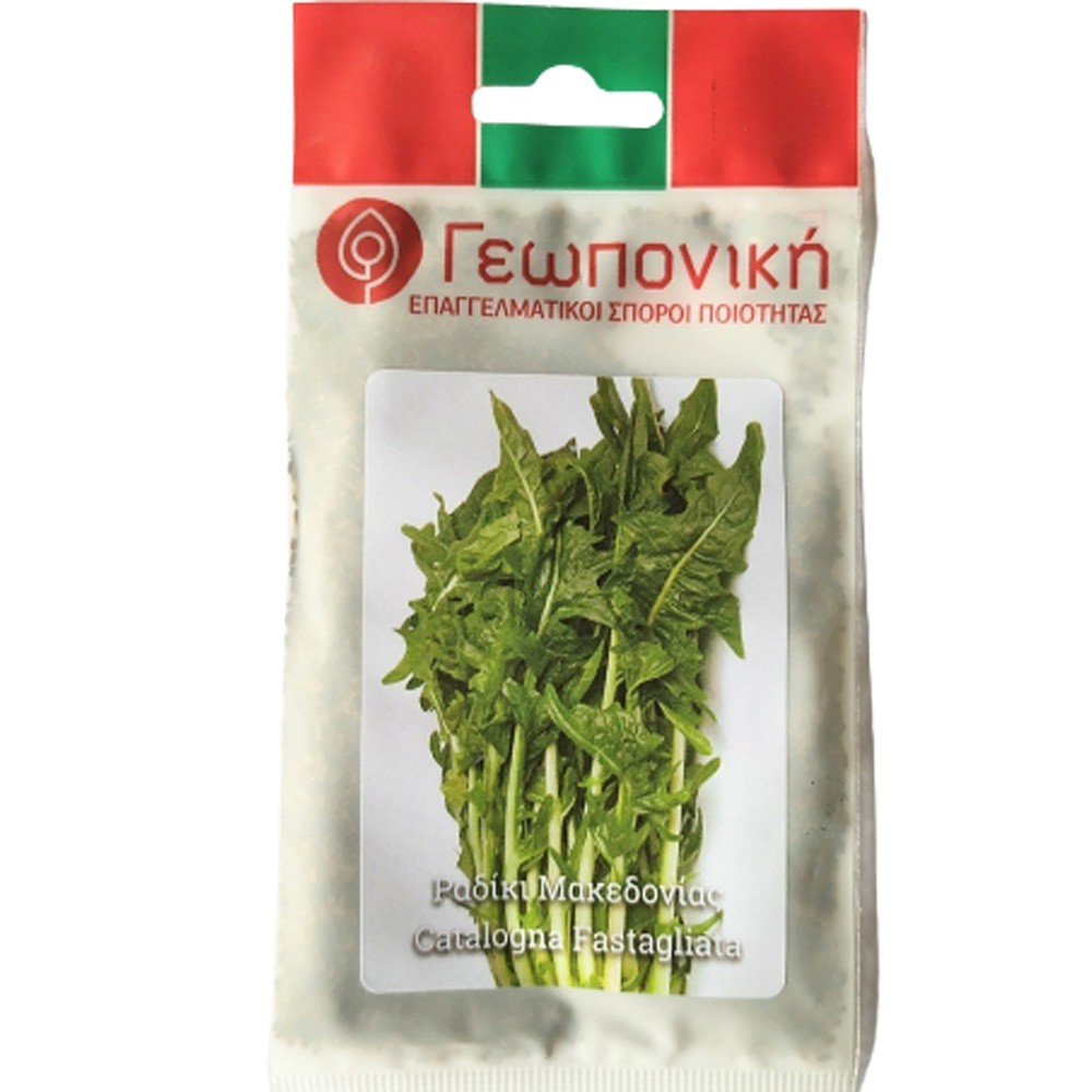 Ραδίκι Μακεδονίας 