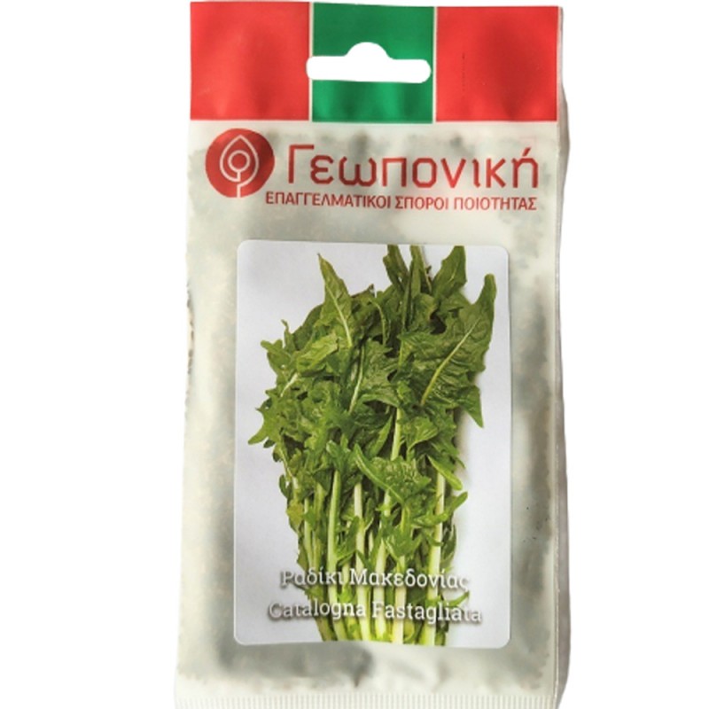 Ραδίκι Μακεδονίας 